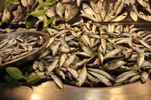 Hamsinin kilosu 50, istavrit 40 liradan satılıyor