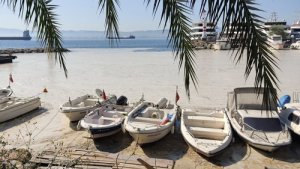 Deniz salyası ağları duman etti