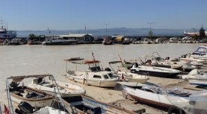 Deniz salyası ağları duman etti