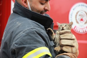  İtfaiye erlerinden yürekleri ısıtan kurtarma operasyonu