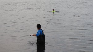 Deniz salyasının sardığı İzmit Körfezi’nde denizi temizlediler, sahilde çöp topladılar