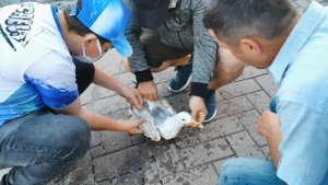 Balık tutmak için attığı oltasına takılanı görünce şaşırdı