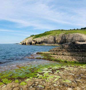  Kandıra’nın saklı cenneti havadan görüntülendi