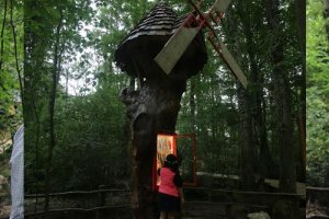 Türkiye’nin ilk orman kütüphanesi Kocaeli’nde açıldı