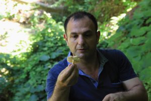  Bu mantara paha biçilemiyor