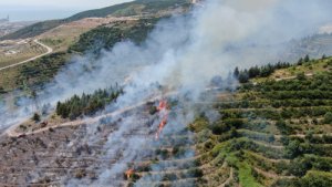 Kocaeli’de orman yangını