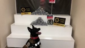 Yüzyılların anılarıyla dolu ata mirasını harabe halde görmeye dayanamayınca mülkünü devretti