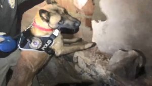 Evin Samanlığından 7 Kilo 78 gram esrar çıktı!