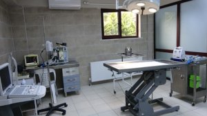 Felçli sokak hayvanları bu merkez ile özgürlüğüne kavuşacak