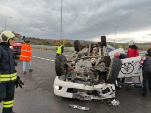Bagajda avlanması yasak geyik bulundu