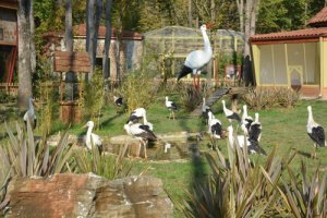  Kocaeli'nin 'Gurabahane-i Laklakan'ı