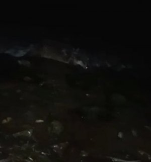 İzmit Körfezinde su samuru görüldü