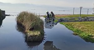 Derede mahsur kalan köpeği itfaiye ekipleri kurtardı