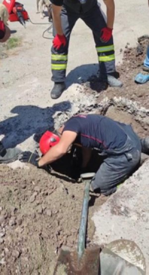  Yavrusu kurtarılana kadar başında bekledi