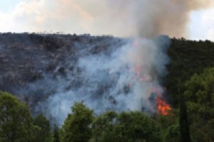 Kocaeli'de ormanlık alanda çıkan yangına müdahale sürüyor