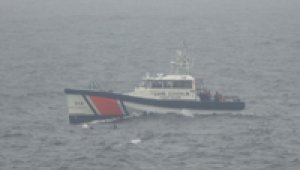 Palamut avlamak isterken dehşeti yaşadılar