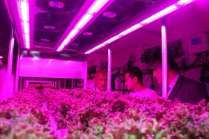 Bakan KİRİŞÇİ geleceğin tarımını GTÜ’de inceledi