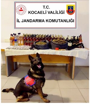 425 şişe kaçak içki ele geçirildi