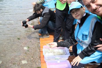 6 bin yavru balık İzmit Körfezine salındı