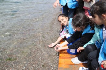 6 bin yavru balık İzmit Körfezine salındı