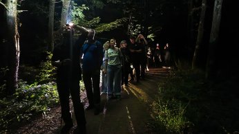 Ormanya’da macera dolu gece yürüyüşü