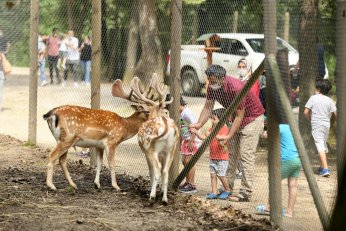 Kocaeli’nin kültür ve turizm değerleri dünyayla buluşuyor