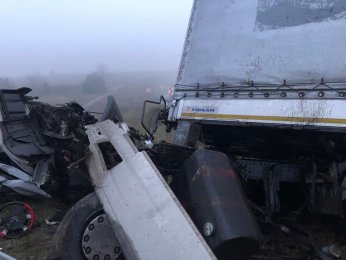 Kuzey marmara otoyolunda can pazarı