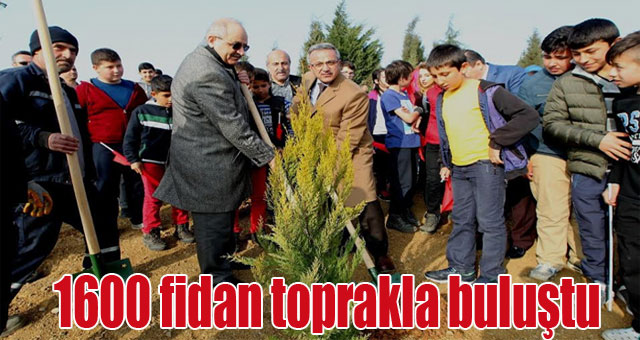  1600 fidan toprakla buluştu