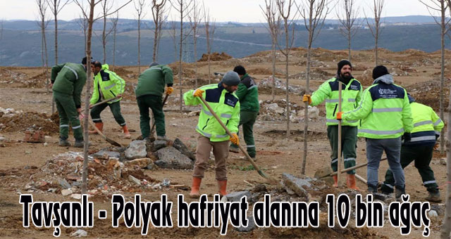    Tavşanlı - Polyak hafriyat alanına 10 bin ağaç