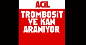  0rh(-)negatif kan gurubunda  trombosit aranıyor