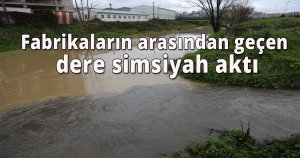 Fabrikaların arasından geçen dere simsiyah aktı