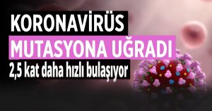 Koronavirüs yeni bir mutasyona daha uğradı