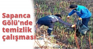 Sapanca Gölü'nde temizlik çalışması