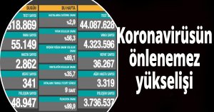 Koronavirüsün önlenemez yükselişi