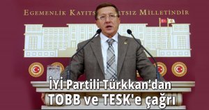 İYİ partili Türkkan'dan  TOBB ve TESK'e çağrı