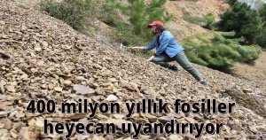 400 milyon yıllık fosiller heyecan uyandırıyor