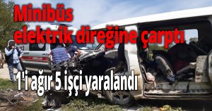 Minibüs elektrik direğine çarptı