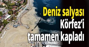 Deniz salyası bu kez Körfez’i tamamen kapladı