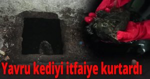 Yavru kedi su giderine düştü