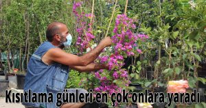 Kısıtlama günleri en çok onlara yaradı