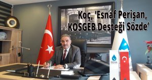  Koç, ‘Esnaf Perişan, KOSGEB Desteği Sözde’