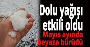 Kocaeli’nin yüksek kesimlerinde dolu yağışı etkili oldu