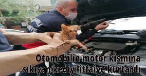  Otomobilin motor kısmına sıkışan kediyi itfaiye kurtardı