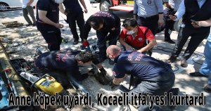 Anne köpek uyardı, Kocaeli itfaiyesi kurtardı