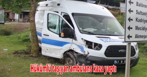 Hükümlü taşıyan ambulans kaza yaptı