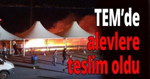 TEM’de alevlere teslim oldu