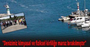 Marmara denizini salyadan kurtarabilmek için bir araya geldiler