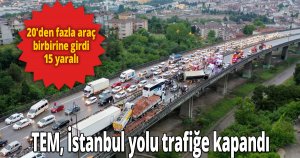TEM, İstanbul yolu trafiğe kapandı