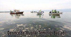 Derince’de Müsilaj Temizliği Başladı
