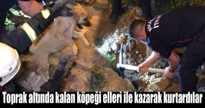 Toprak altında kalan köpeği elleri ile kazarak kurtardılar